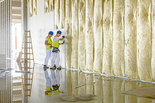 Best Insulation Maintenance and Repair in Fmington, AR
